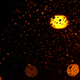 Illustration for article titled Shooting Challenge: Bokeh, Gallery 1